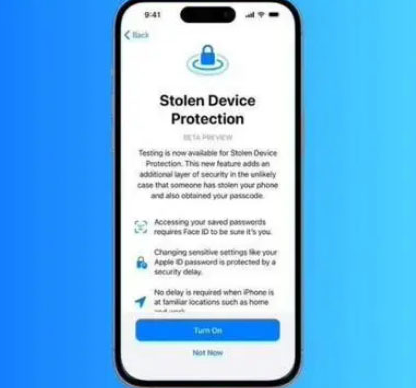 江阳苹果授权维修店分享被盗设备保护功能开启方法 