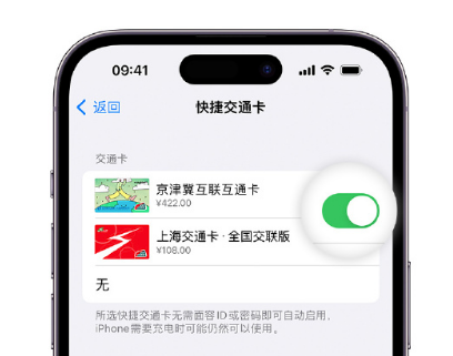 江阳apple维修点分享iPhone上更换Apple Pay快捷交通卡手绘卡面 