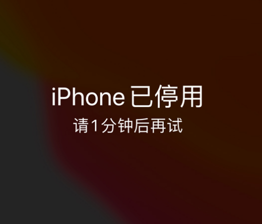 江阳苹果手机维修分享:iPhone 显示“不可用”或“已停用”怎么办？还能保留数据吗？ 