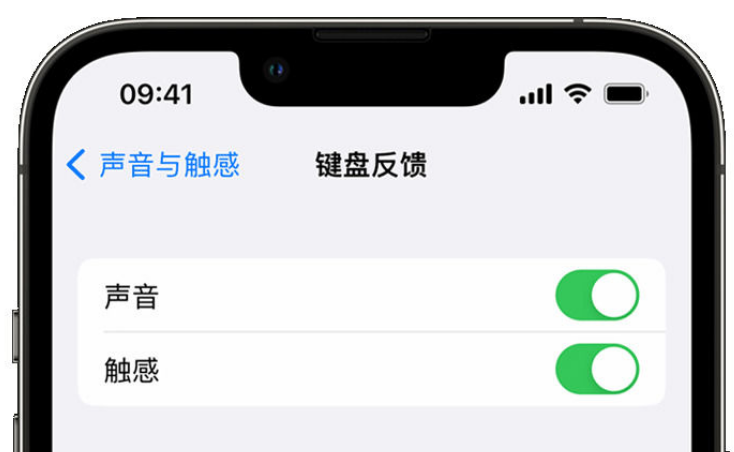 江阳苹果手机维修分享iPhone 14触感键盘使用方法 