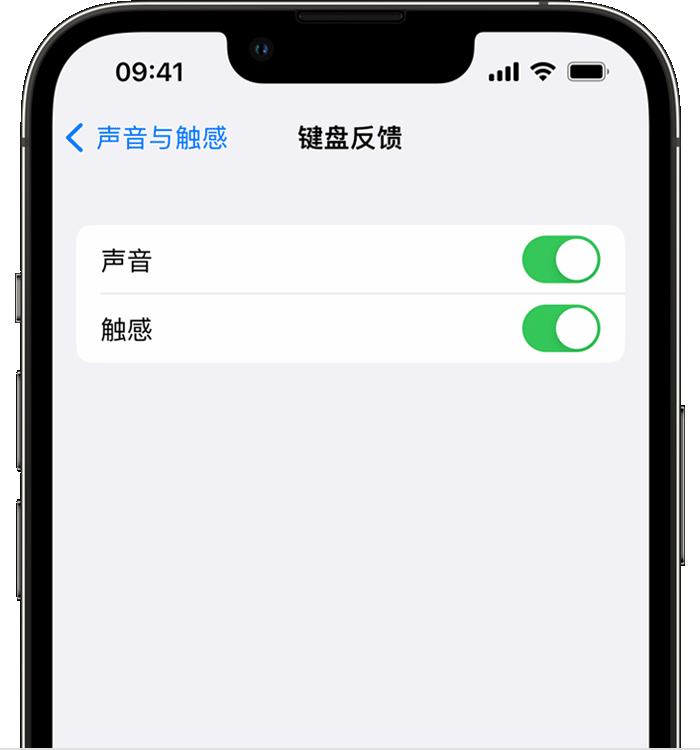 江阳苹果14维修店分享如何在 iPhone 14 机型中使用触感键盘 