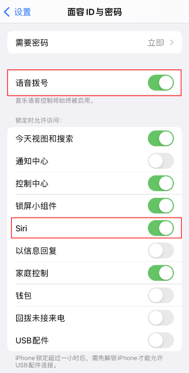 江阳苹果维修网点分享不解锁 iPhone 的情况下通过 Siri 拨打电话的方法 