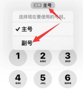 江阳苹果14维修店分享iPhone 14 Pro Max使用副卡打电话的方法 