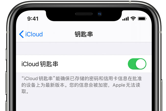 江阳苹果手机维修分享在 iPhone 上开启 iCloud 钥匙串之后会储存哪些信息 