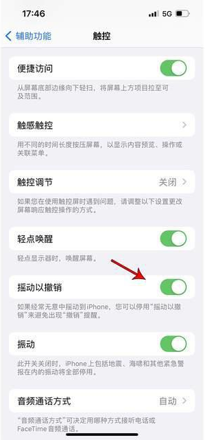 江阳苹果手机维修分享iPhone手机如何设置摇一摇删除文字 