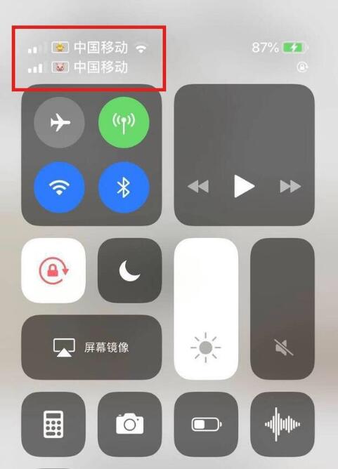 江阳苹果手机维修分享为 iPhone 12 双卡设置标签 