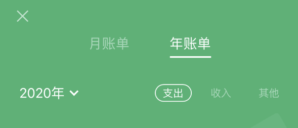 江阳苹果手机维修分享如何在 iPhone 上查看支付宝和微信年支出账单 
